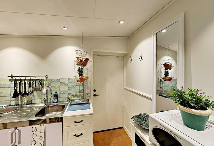 סטודיו בסיסי, Woodstock B & B Studios