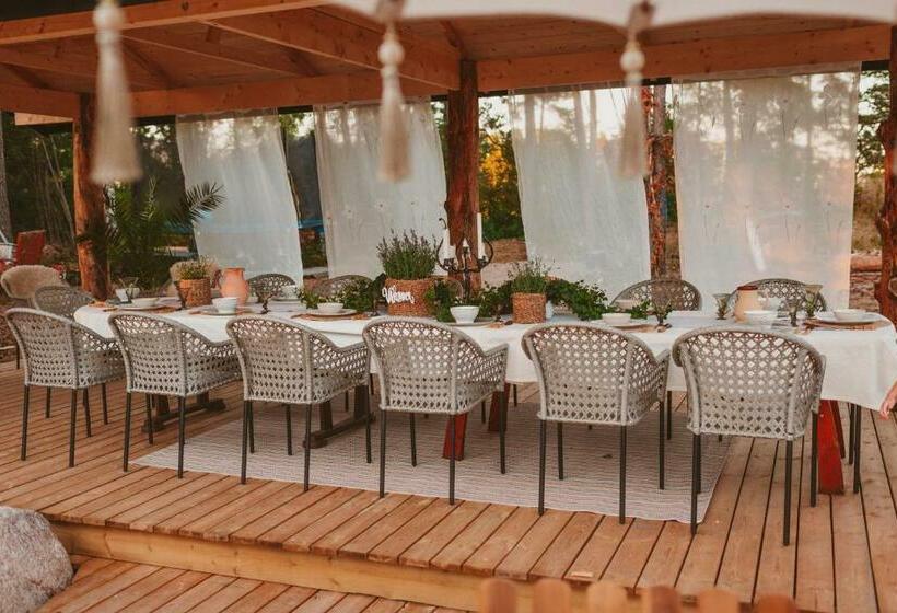 סטודיו בסיסי, Woodstock B & B Studios