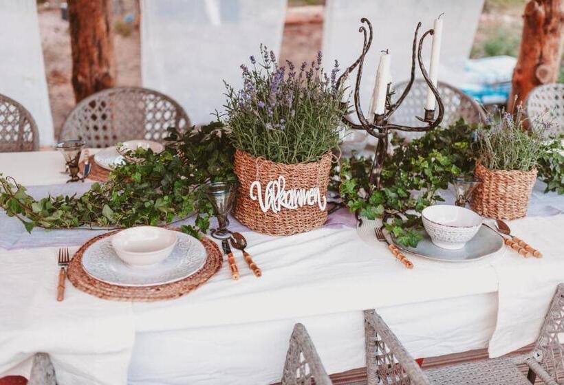 סטודיו בסיסי, Woodstock B & B Studios