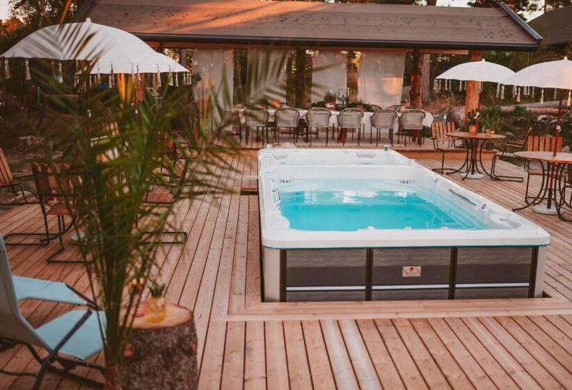 דירת חדר סופריור, Woodstock B & B Studios