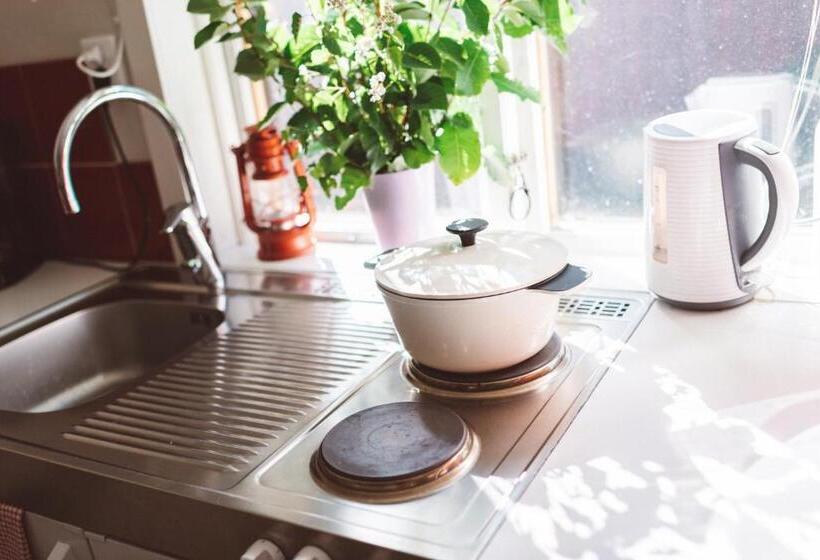 דירת חדר סופריור, Woodstock B & B Studios