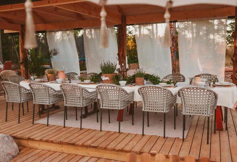 דירת חדר בסיסית, Woodstock B & B Studios