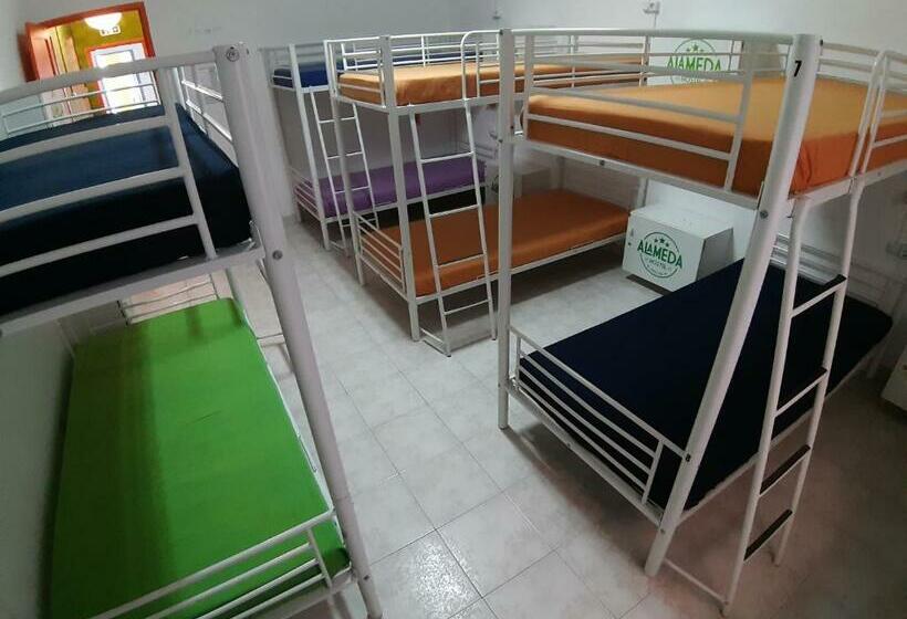 共用房间的床, Alameda Hostel