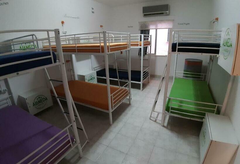 Кровать в Общей Комнате, Alameda Hostel