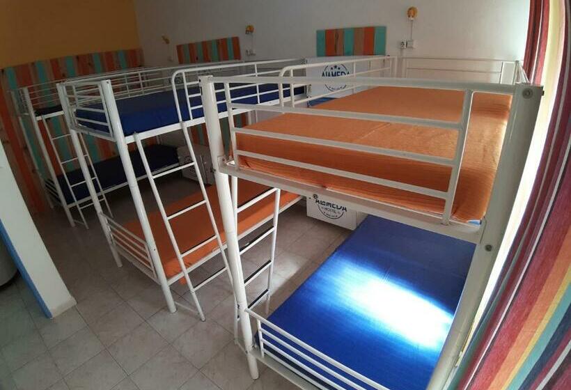 共用房间的床, Alameda Hostel