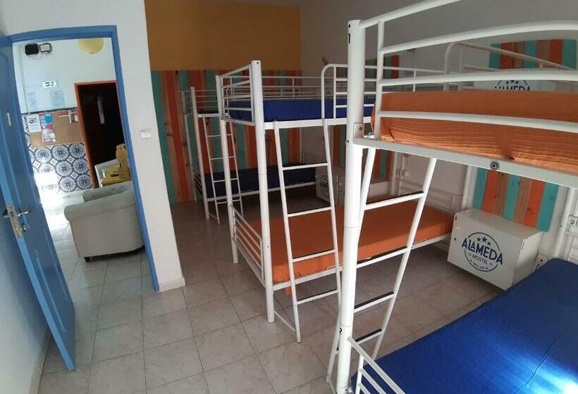 Кровать в Общей Комнате, Alameda Hostel