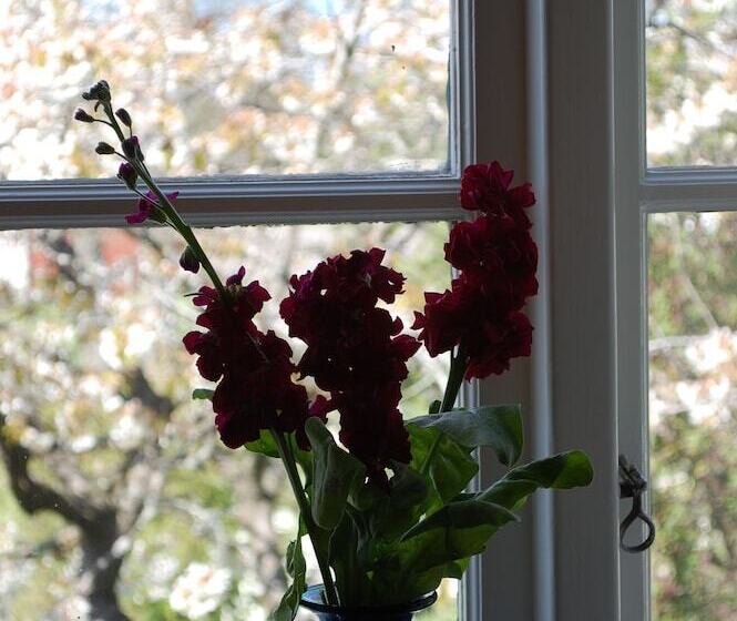 غرفة قياسية, Allégården Kastlösa Hotell