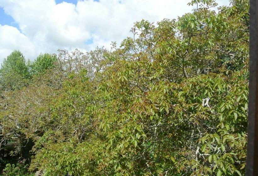 اتاق سوپریور با چشم‌انداز باغ, Guest House Villa Dos Poetas