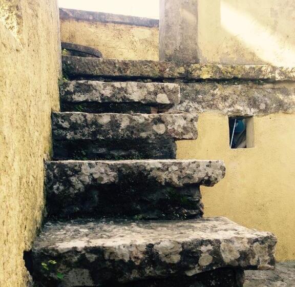 استودیو استاندارد با تراس, Guest House Villa Dos Poetas