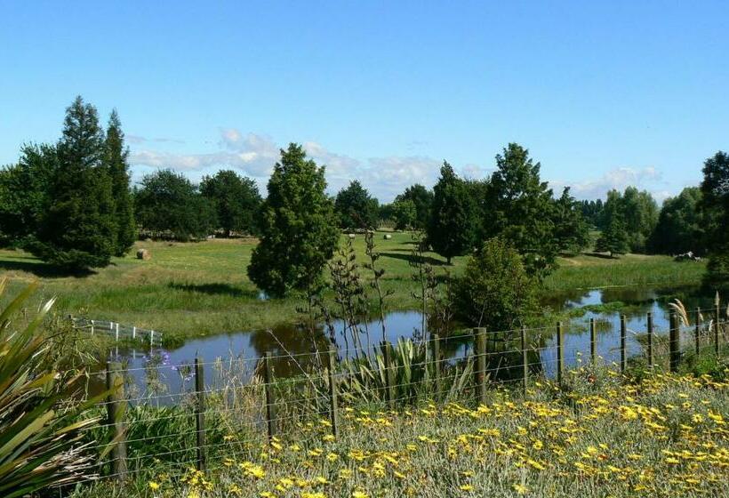 חדר סטנדרט עם מיטת קינג, Te Mata Views Resort