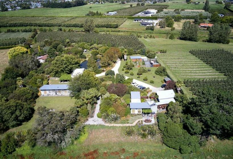 Стандартный Номер Кровать Кинг, Te Mata Views Resort