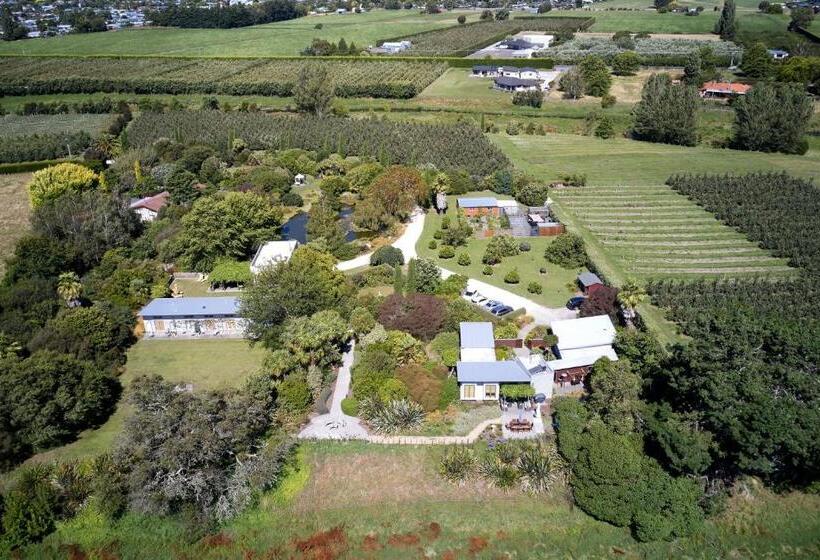 חדר דלוקס, Te Mata Views Resort