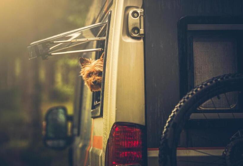 בקתה סטנדרטית, Te Mata Views Resort