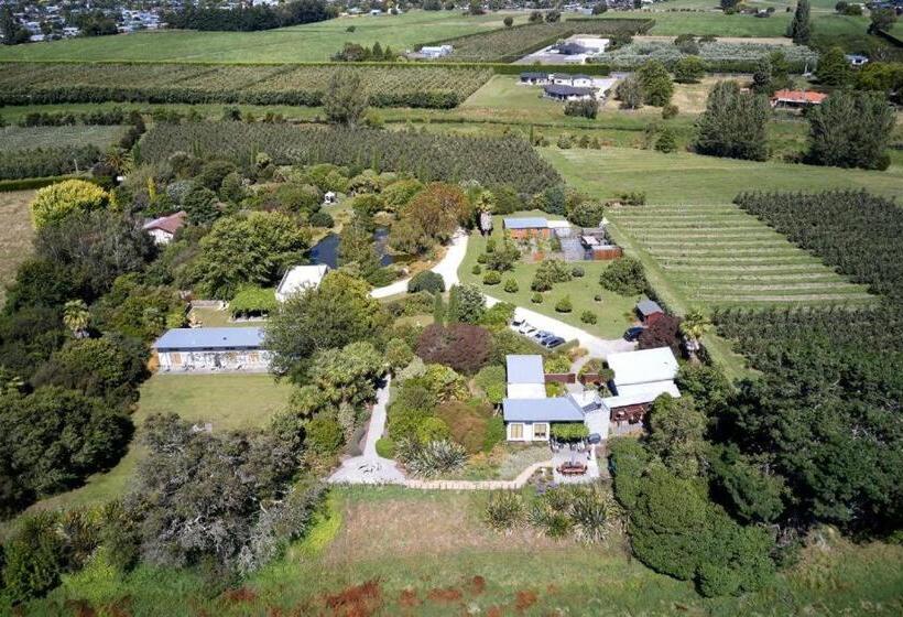 בקתה סטנדרטית, Te Mata Views Resort