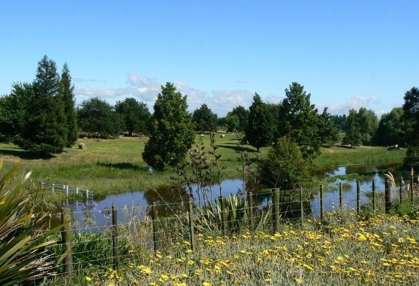 חדר סטנדרט, Te Mata Views Resort