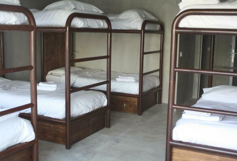 공동 객실, N1 Hostel Apartments And Suites