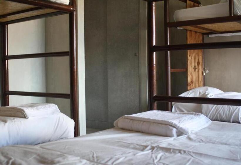 스탠다드 트리픔 룸 공동욕실, N1 Hostel Apartments And Suites