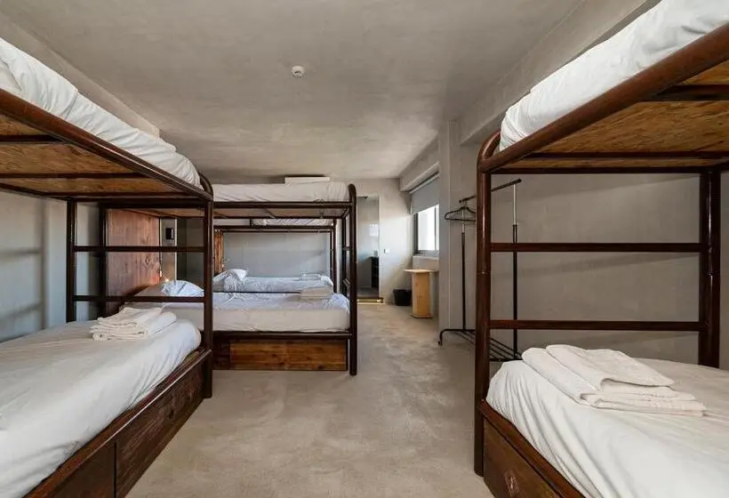 スーペリアーシェアルームのワンベッド, N1 Hostel Apartments And Suites
