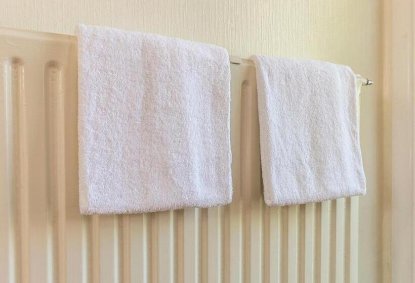 Апартаменты Superior 1 Спальня, Rainbow Motel & Hot Pools