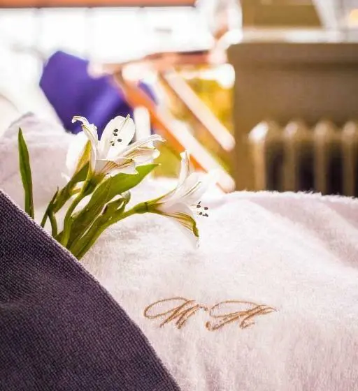 Standard-huone Merinäkymä Parveke, Waxholms Hotell