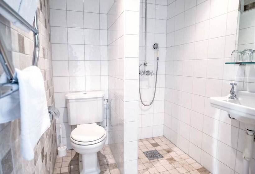 带海景的标准房, Waxholms Hotell