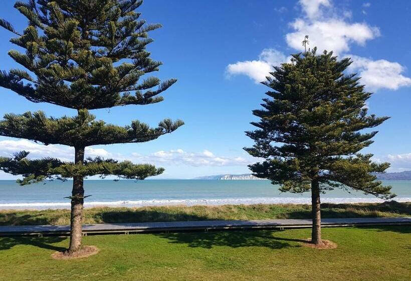 آپارتمان 1 خوابه همکف, Whispering Sands Beachfront Motel