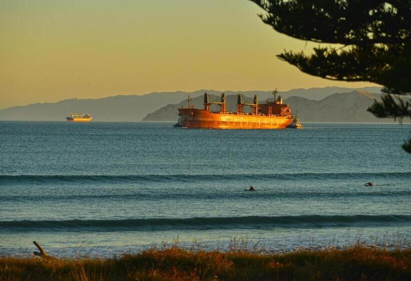 آپارتمان 1 خوابه با بالکن, Whispering Sands Beachfront Motel