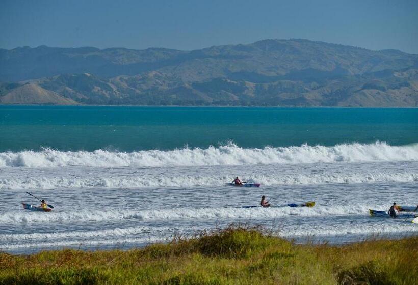 آپارتمان لوکس 1 خوابه, Whispering Sands Beachfront Motel