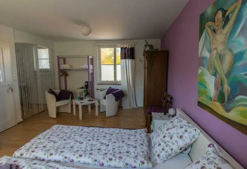Deluxe-huone, B&b Kalimera Pratteln