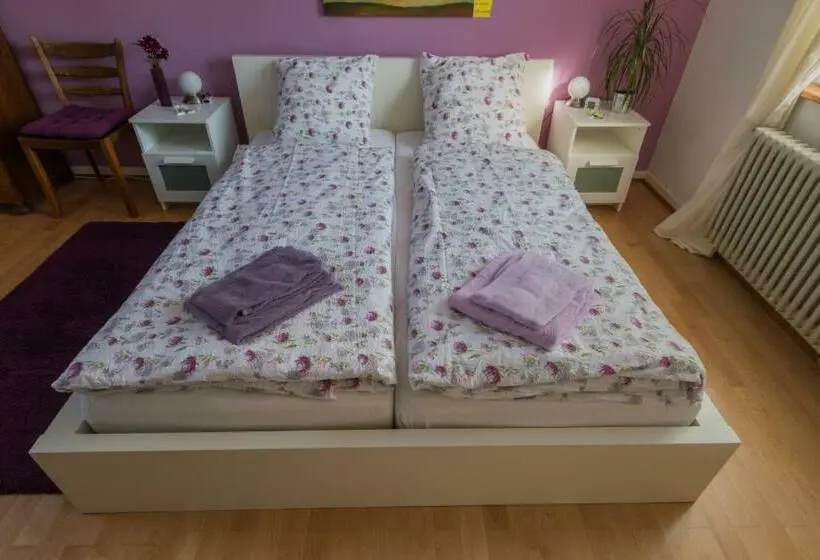 Deluxe-huone, B&b Kalimera Pratteln