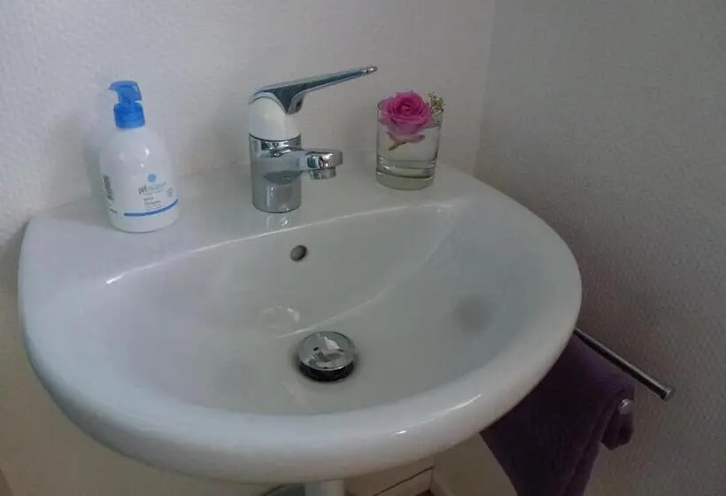 Deluxe-huone, B&b Kalimera Pratteln