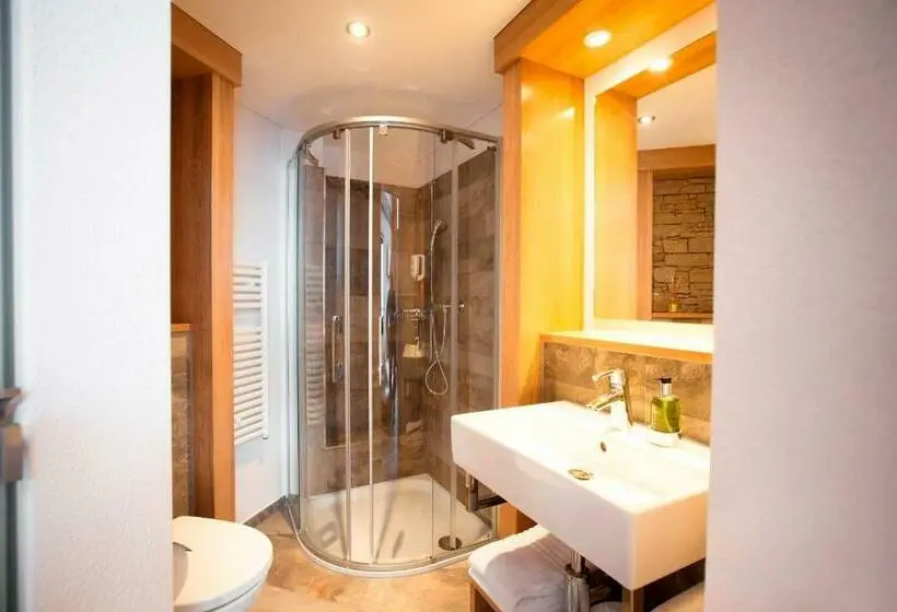 اتاق استاندارد یک نفره, Berghotel Trübsee   Accessible Only By Cable Car