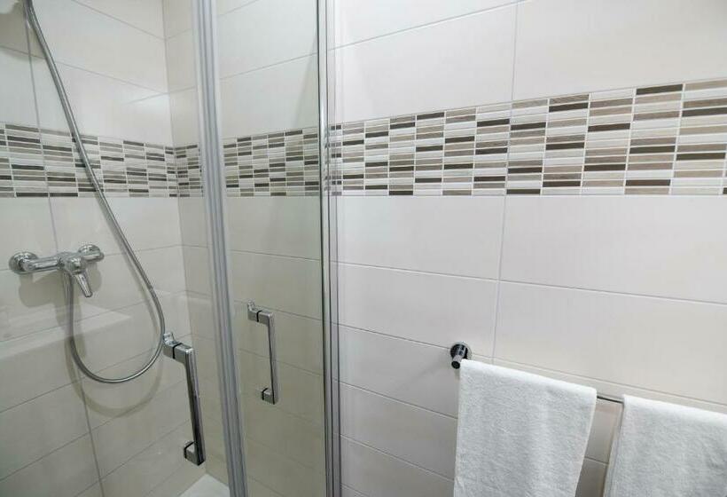 スタンダードシングルルーム, De France