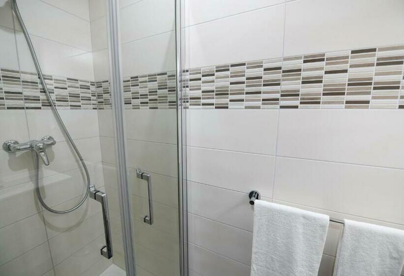 スタンダードシングルルーム, De France