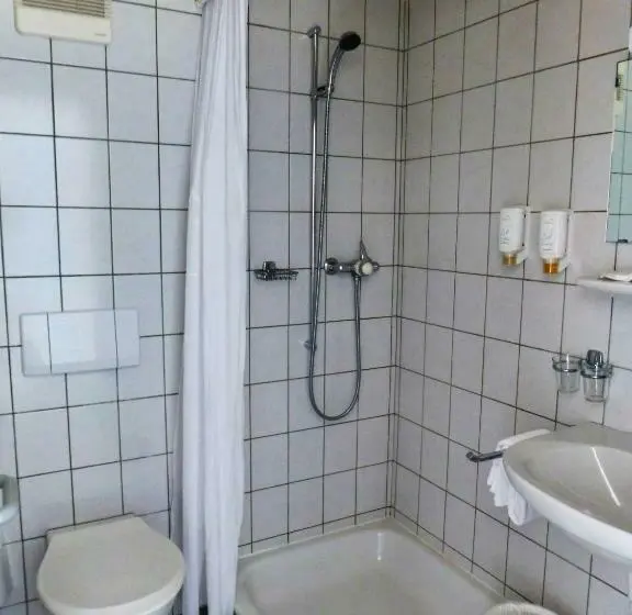 Standard Yhden Hengen Huone, Hôtel De France