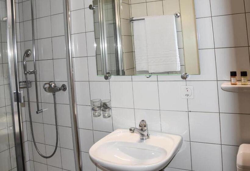 Люкс, Hôtel Restaurant Le Saint Christophe