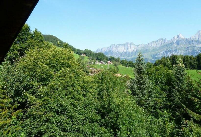 带共用浴室的标准房间, Restaurant Bergheim