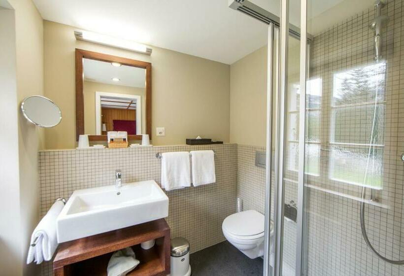 スタンダードルーム, Und Naturresort Handeck