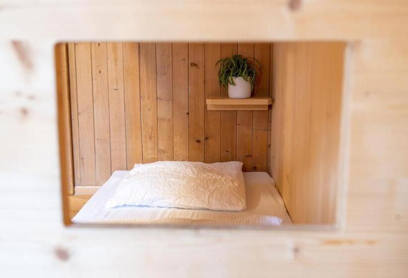 Номер Стандарт Четырехместный Совместный Санузел, Naturfreunde Hostel Grindelwald