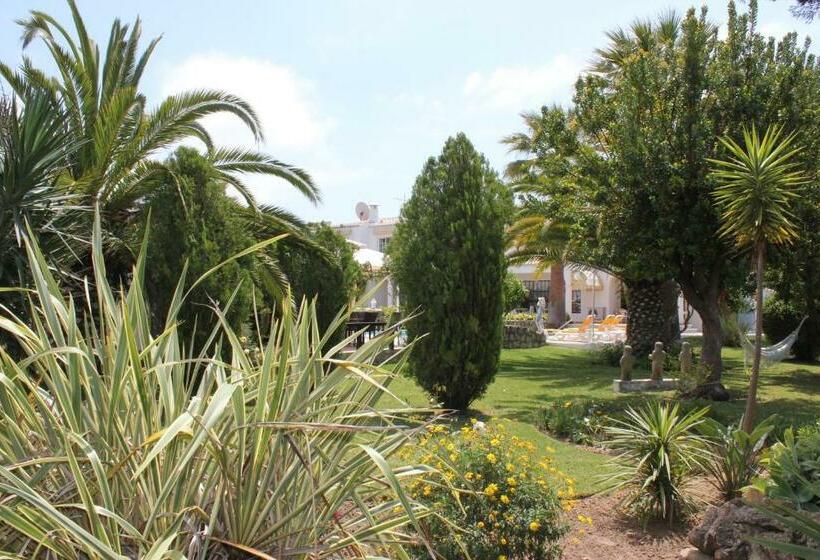 اتاق استاندارد, Quinta Dos Oliveiras