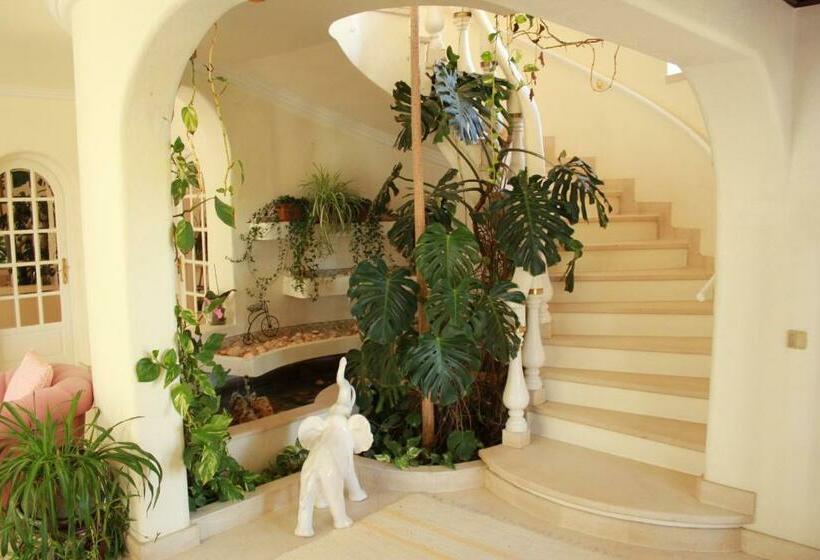 اتاق استاندارد, Quinta Dos Oliveiras