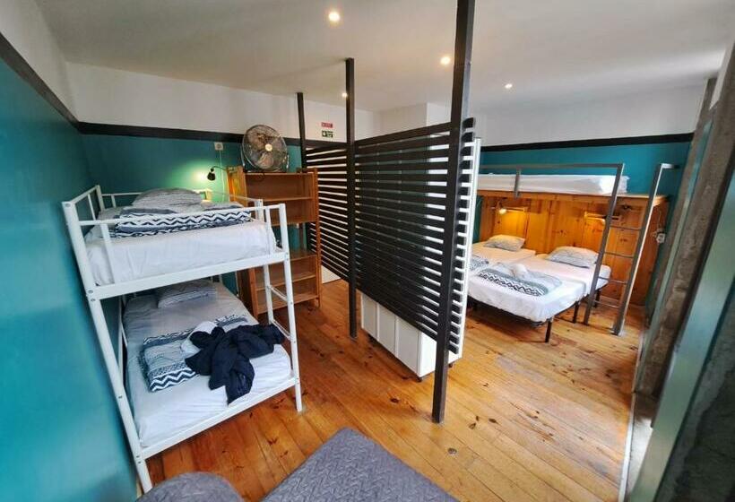 سرير فى غرفة مشتركه, Sardines And Friends Hostel 04