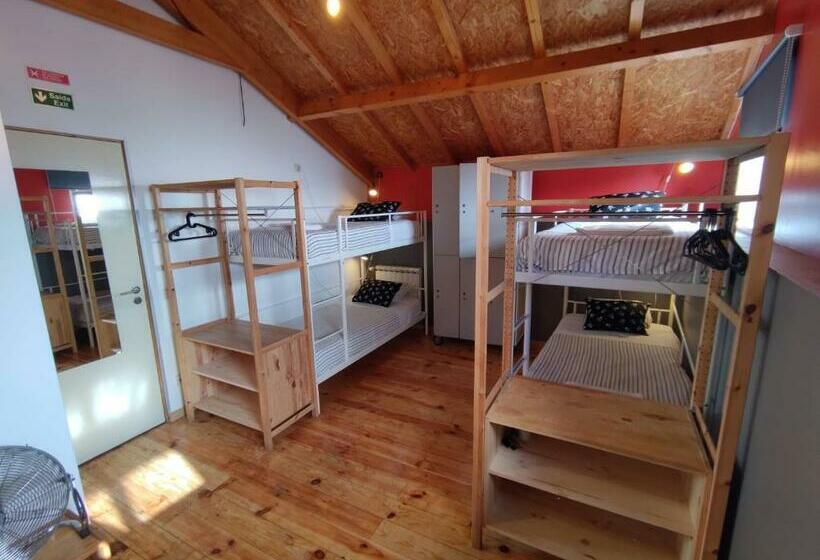 공동 객실, Sardines And Friends Hostel 04
