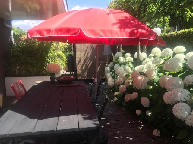 스탠다드 룸, Geranio