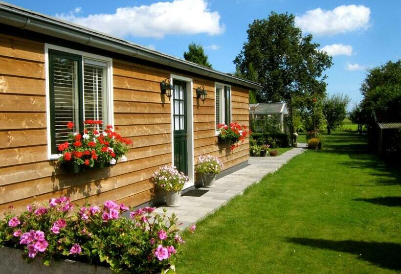 스탠다드 룸, Bed & Breakfast Bij Janzen