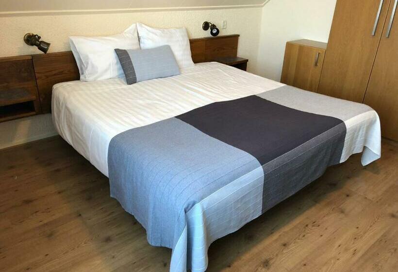 اتاق استاندارد با بالکن, Duinhotel Texel