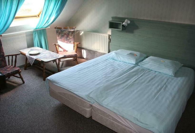 חדר סטנדרט, Beukenhorst