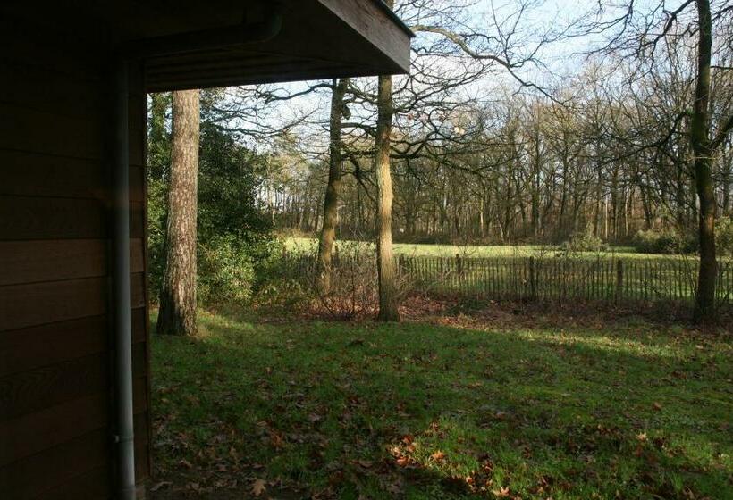 Standardeinzelzimmer, Hardenberg