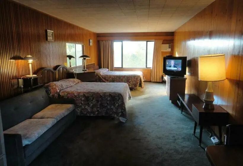 اتاق استاندارد با تخت دو نفره بزرگ, Airport Inn