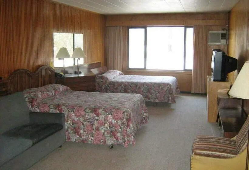 اتاق استاندارد با تخت دو نفره بزرگ, Airport Inn